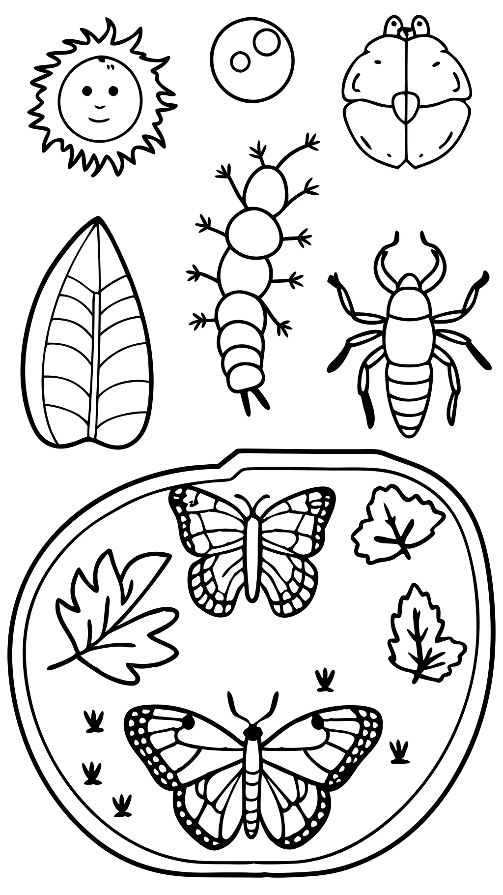 pages couleurs de biologie